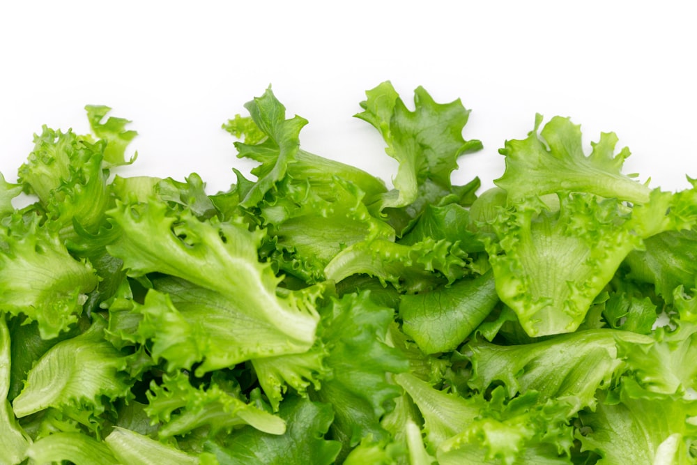 Kopfsalat