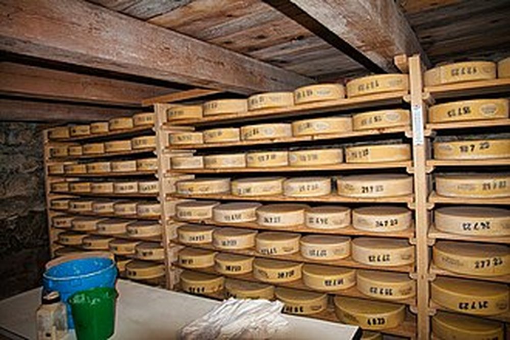 Allgäuer Bergkäserei Maier – Einblick