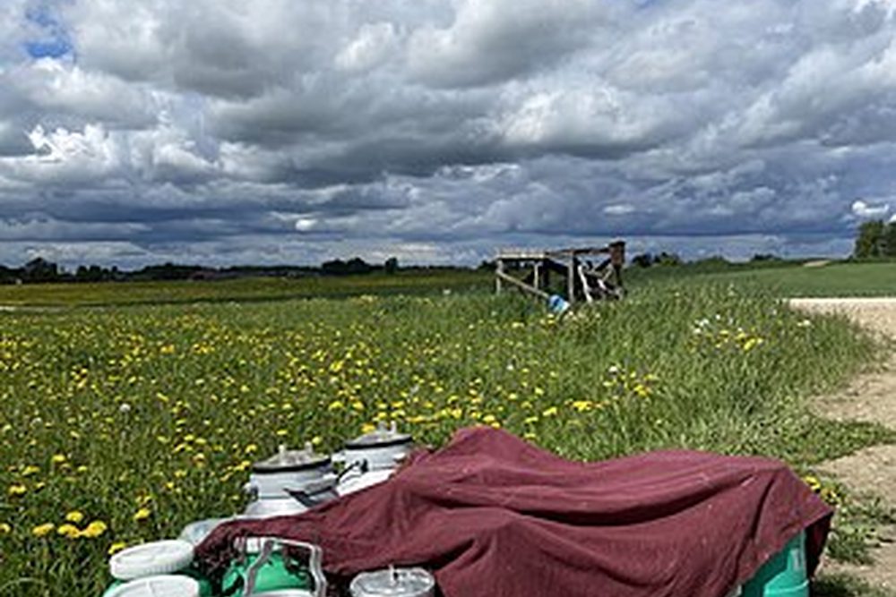 Hofmeierei Schönbaur – Atmosphäre